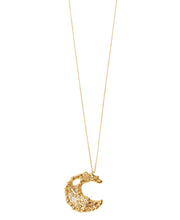 Load image into Gallery viewer, Hultquist Ancient Star Necklace