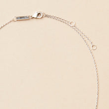 Load image into Gallery viewer, Scout Curated Wears Refined Necklace Collection - Comet/Silver
